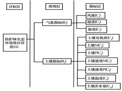 人口分析法_swot分析法